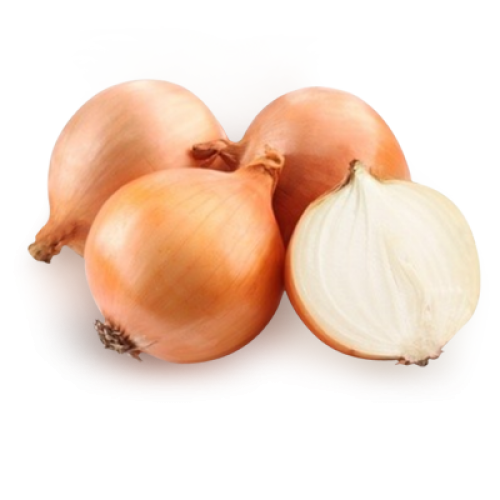 luk_repchaty-500x500.png